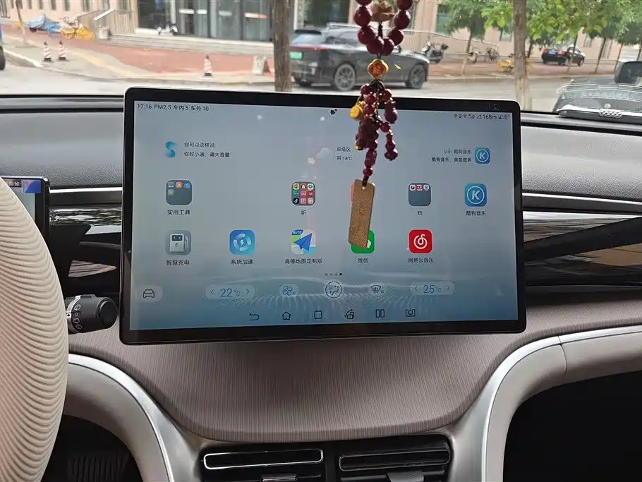 BYD Song Pro New Energy 2023 Champion Edition DM-i 110KM Excellence фото 13