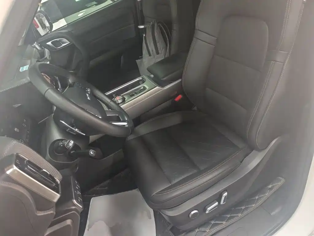 Haval Big Dog 2025 2024 1.5T DCT Border Collie Edition
