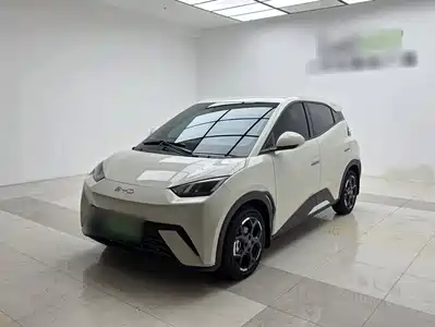 BYD Seagull