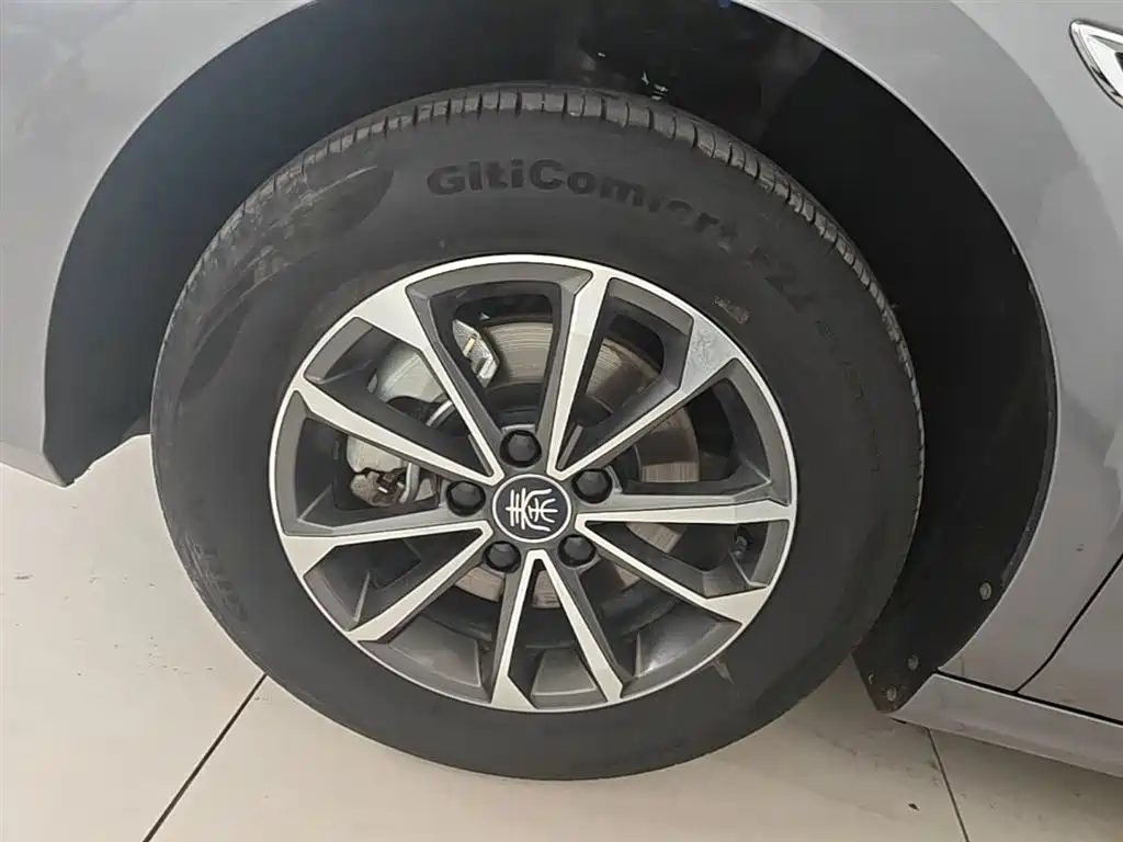 BYD Qin PLUS 2023 Champion Edition DM-i 55KM Leading фото 23