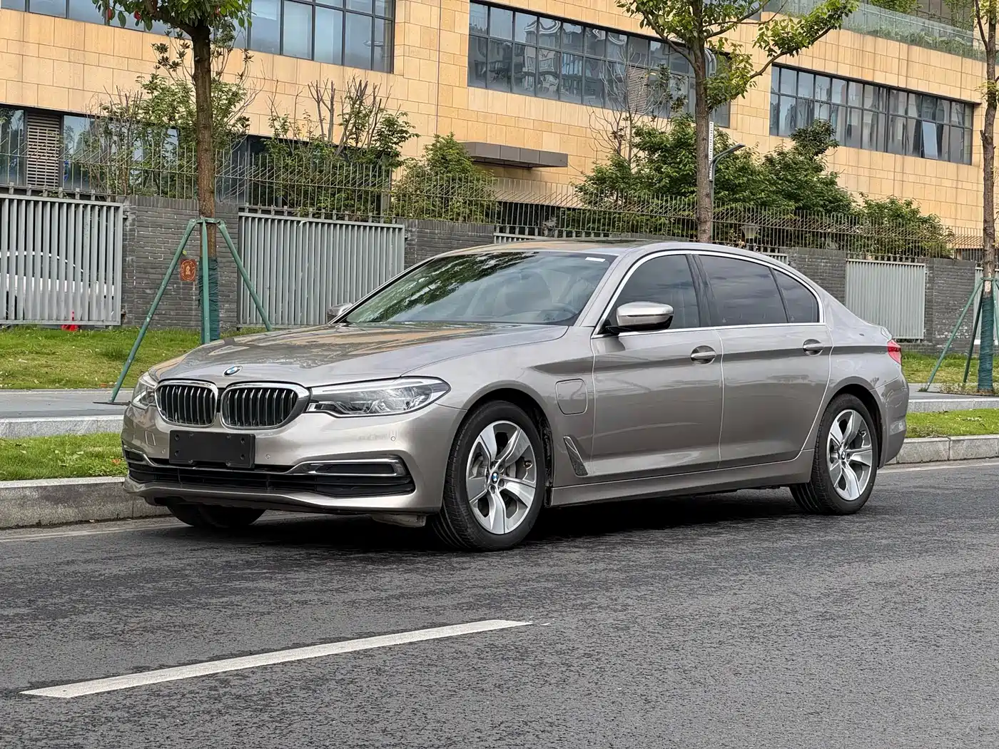 BMW 5 Series New Energy 2020 530Le Range Upgrade Luxury Package