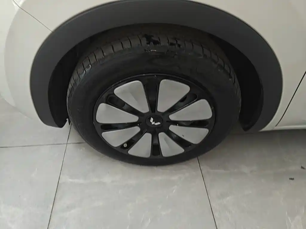 Wuling Motors Wuling Bingo 2023 2023 Model 333km Joy+ Version
