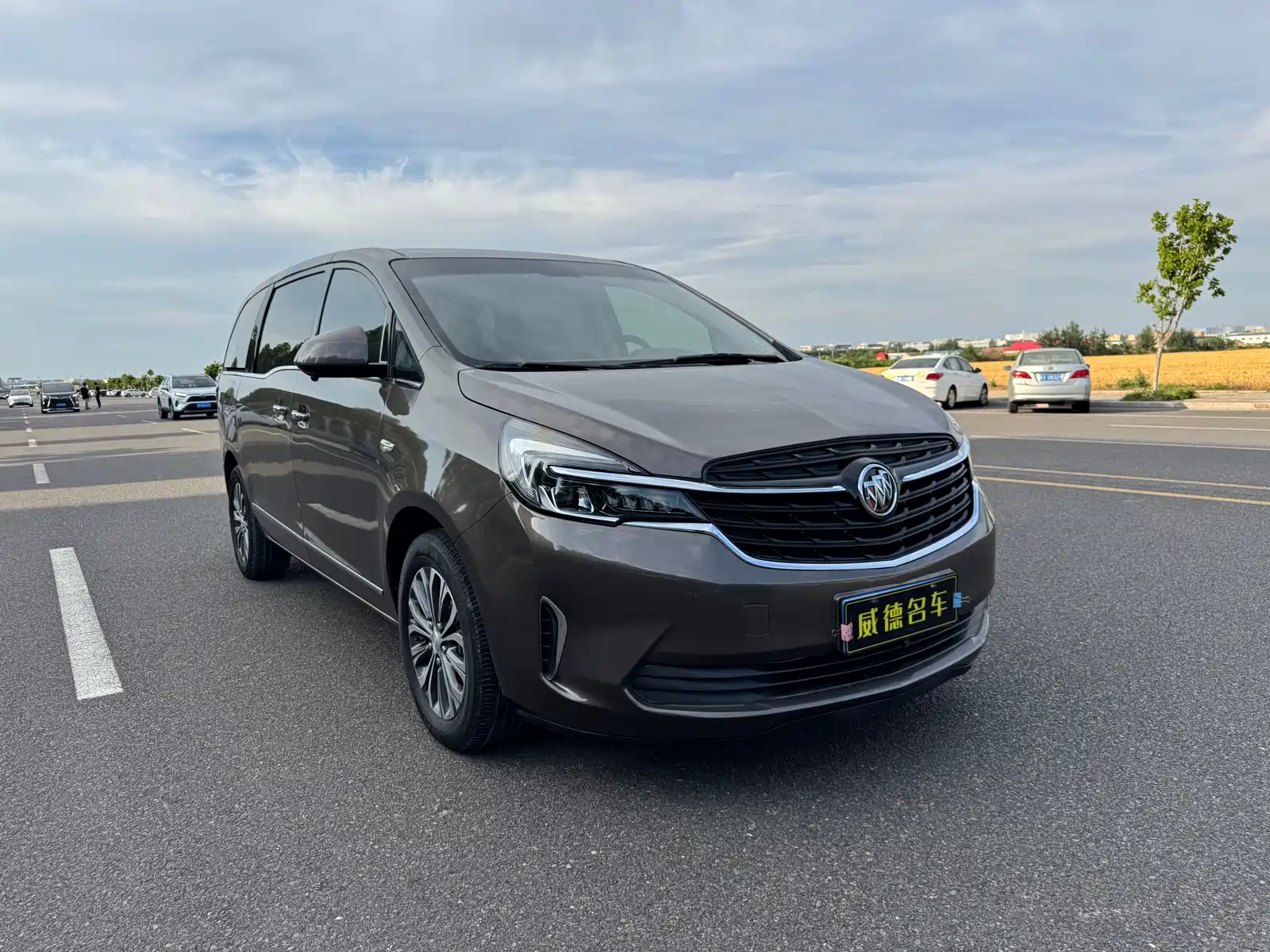 Фото 2 - Buick GL8