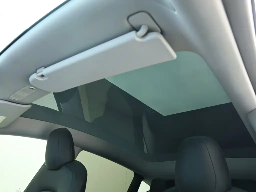 Tesla Model Y 2021 2021 Standard Range Rear-Wheel Drive