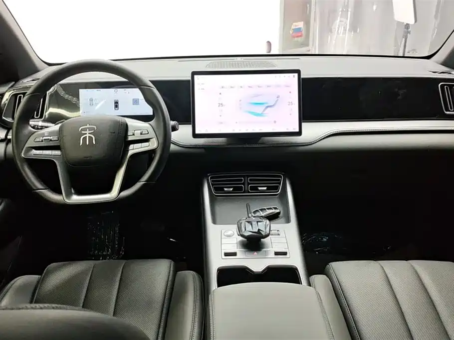 BYD SONGJIANG NEW ENERGY