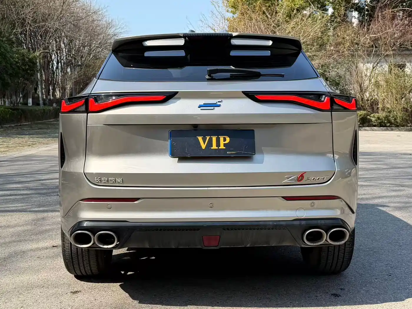 CHANGAN CHANGAN AUCHAN Z6