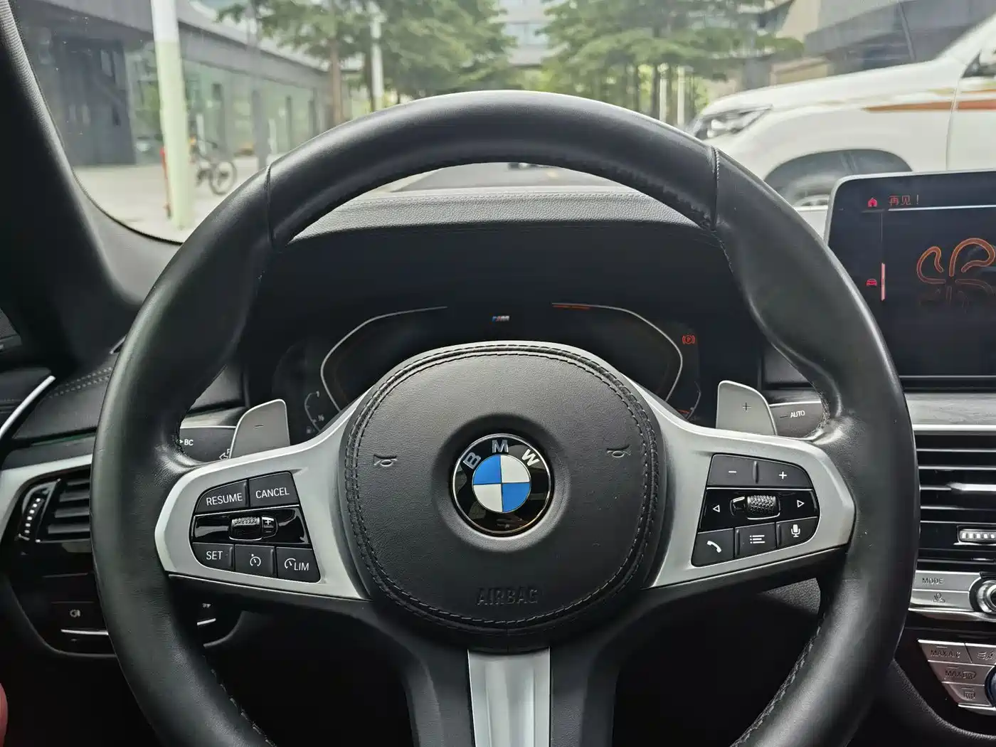 BMW 5 Series 2021 530Li Premium M Sport Package фото 25