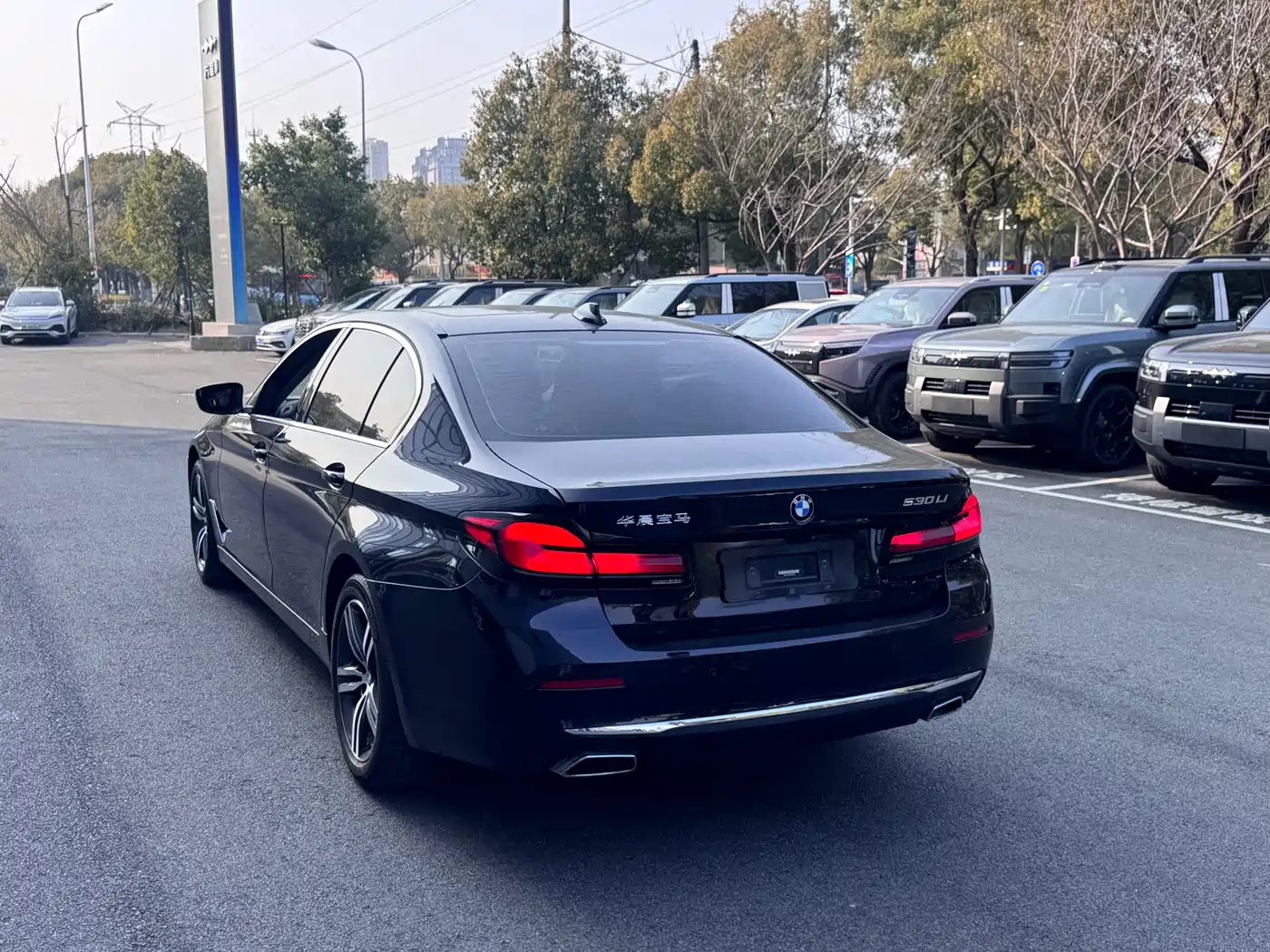BMW 5 Series 2021 530Li Leading Luxury Package фото 18