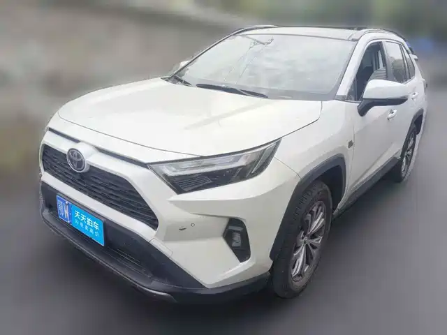 Toyota RAV4 Rongfang 2023 2.0L CVT 2WD 20th Anniversary Platinum Edition — фото 1