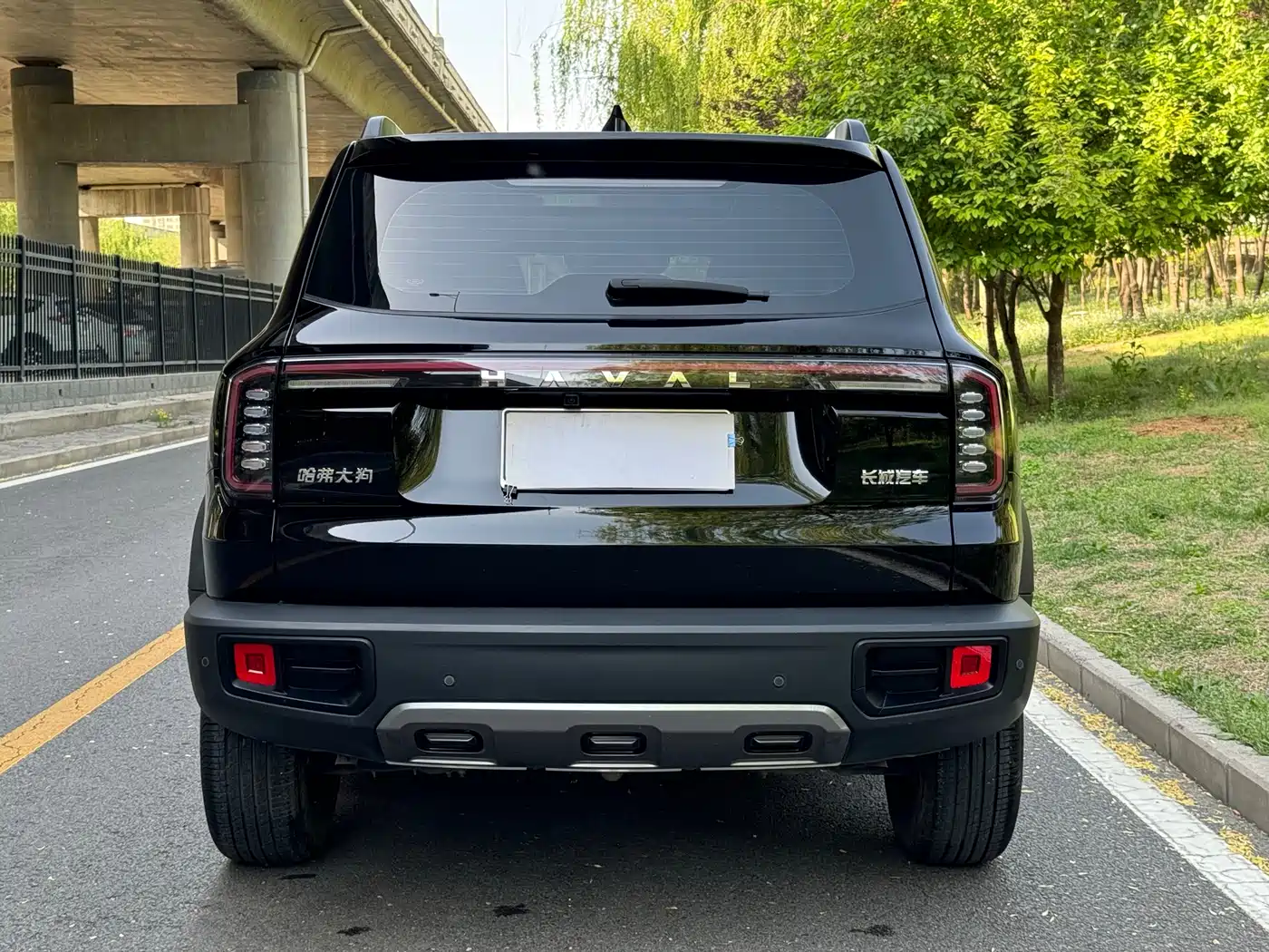 Haval Big Dog 2024 1.5T DCT Border Collie Edition фото 19