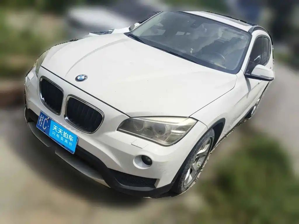BMW X1 (Import) 2013 2012 sDrive18i Luxury