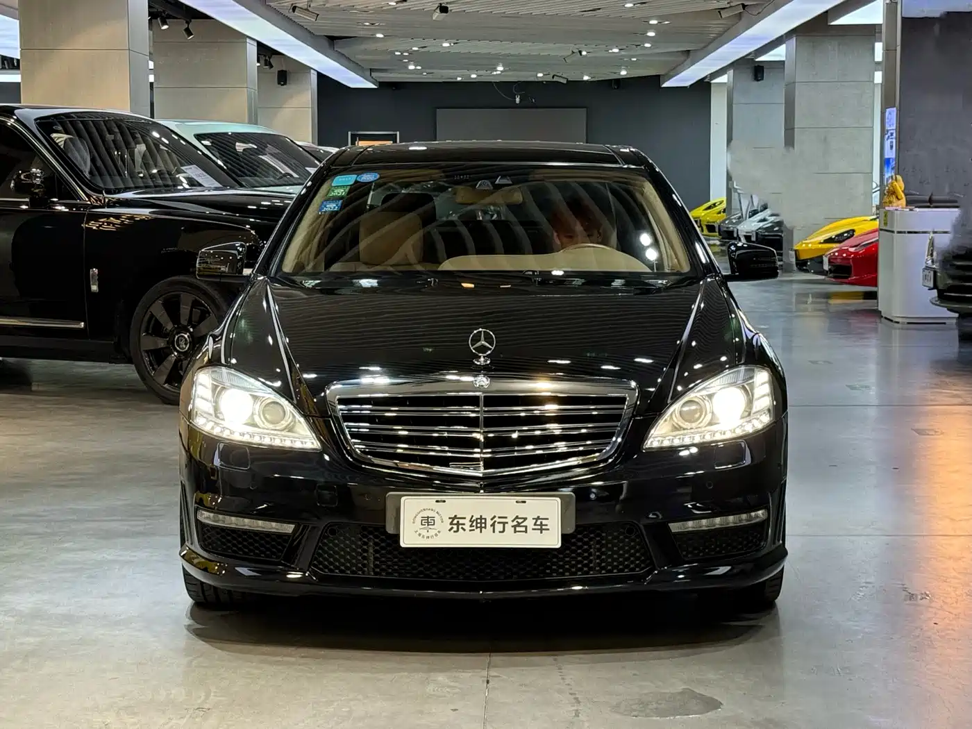 Mercedes-Benz S-Class AMG 2010 AMG S 65 фото 2