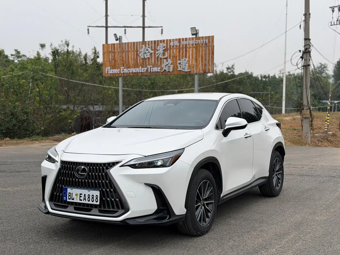 Lexus NX 2023 2022 260 FWD Innovation Edition