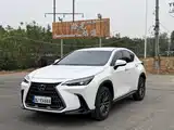 Фото 1 - Lexus NX