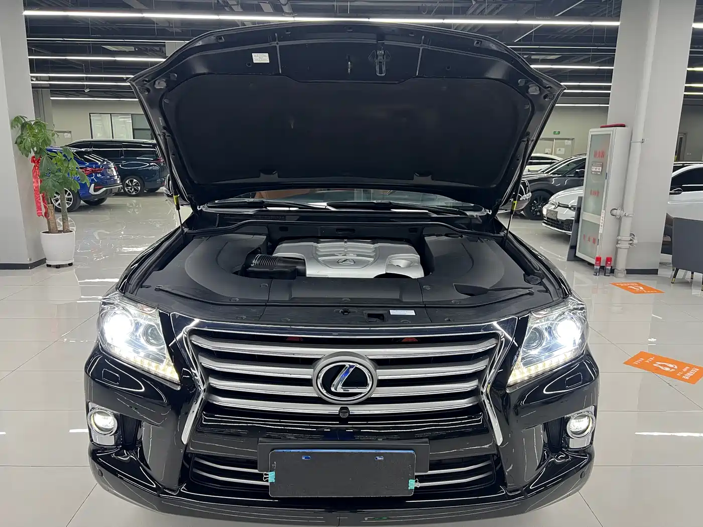 Lexus LX 2013 570 фото 23