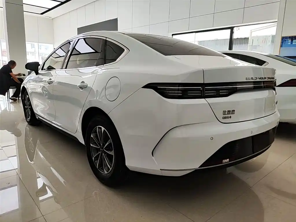 BYD Destroyer 05 2024 Glory Edition DM-i 55KM Luxury фото 5