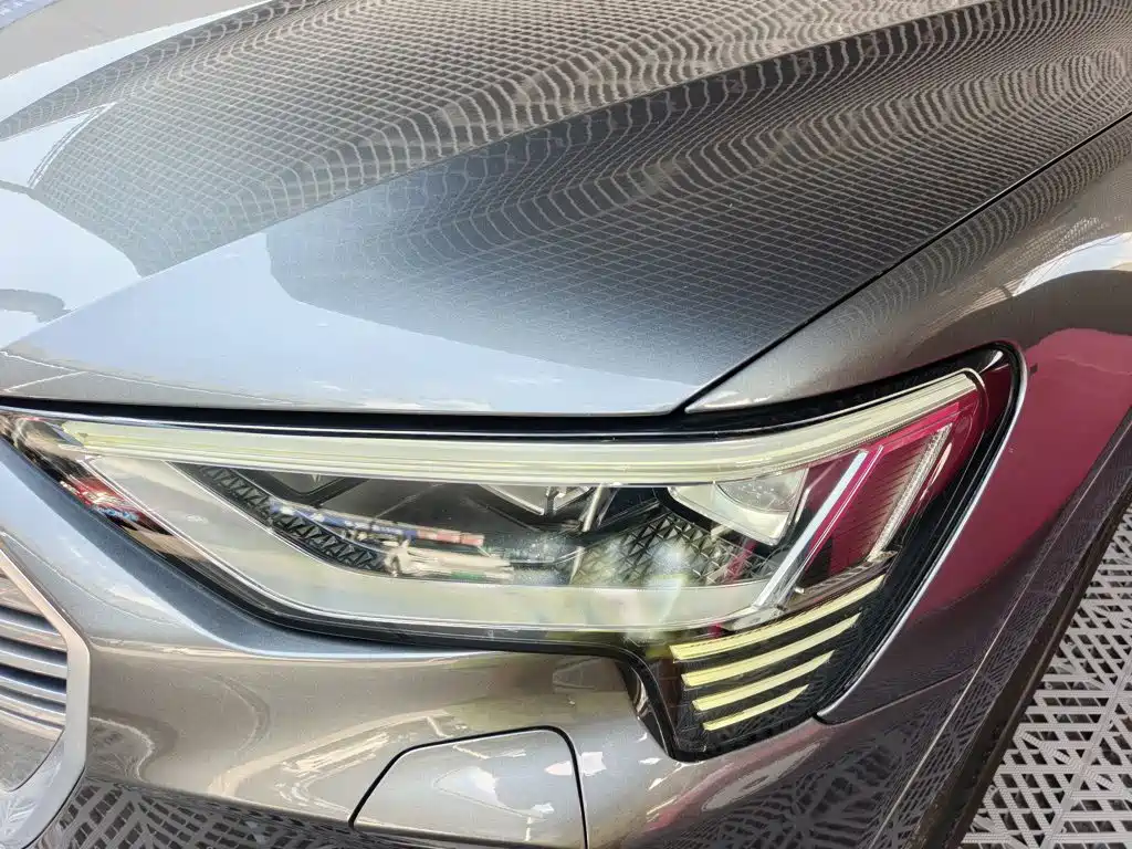 Audi e-tron 2022 2021 50 quattro Exclusive Selection