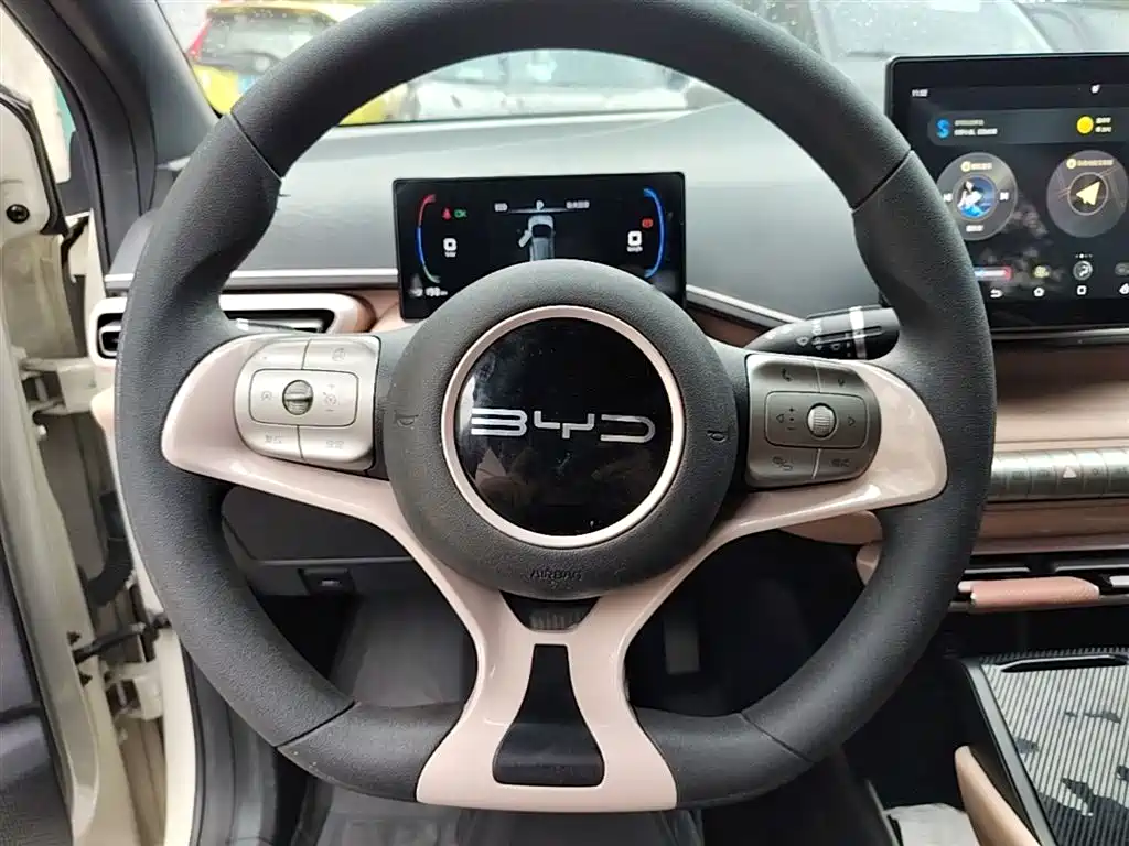 BYD Seagull 2023 Vitality Edition фото 11