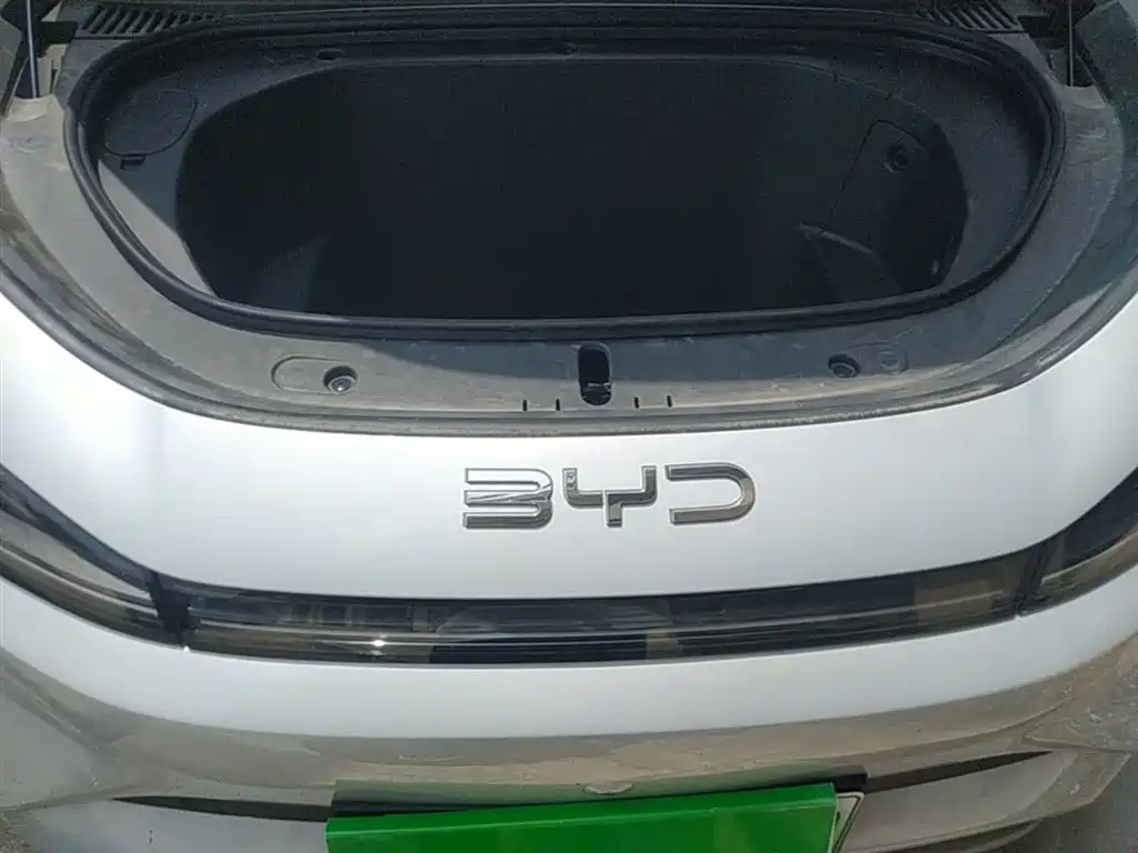 BYD Hai Shi 05 EV 2025 520KM Smart Navigation Edition фото 20