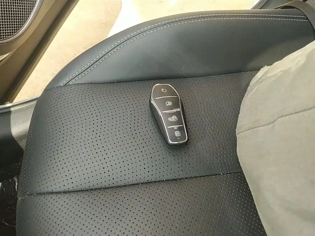 BYD Hai Shi 05 EV 2025 520KM Smart Navigation Edition фото 9