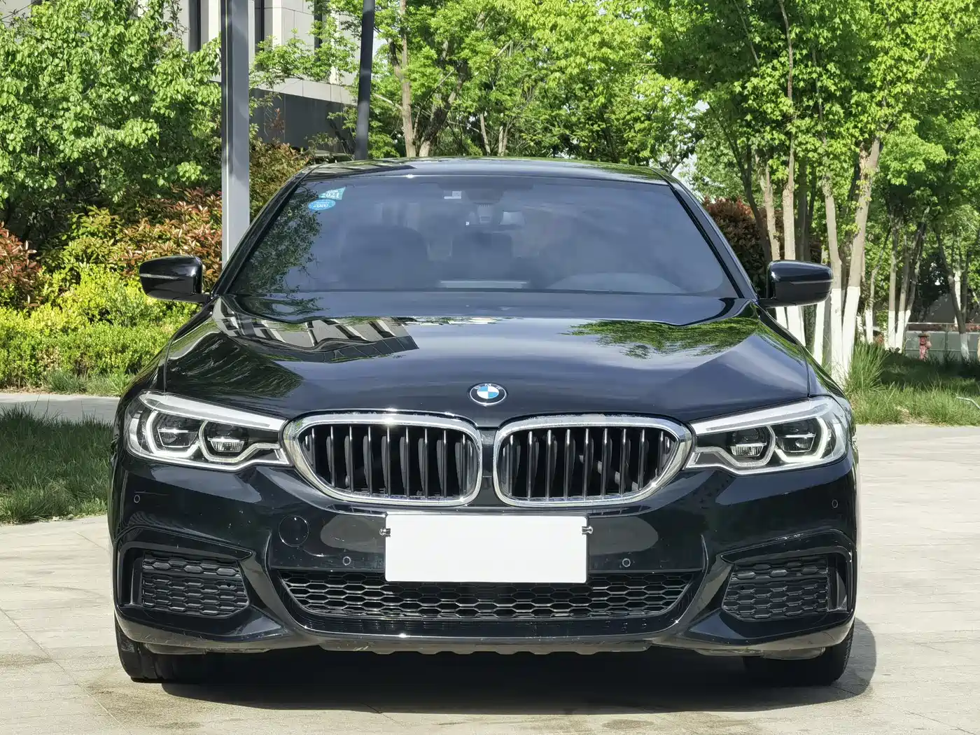 BMW 5 Series 2020 530Li Leading M Sport Package фото 2