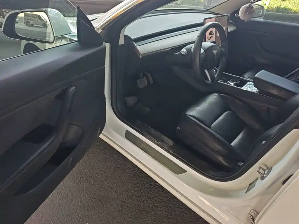 Tesla Model 3 (Import) 2019 2019 Standard Range RWD Upgraded Edition