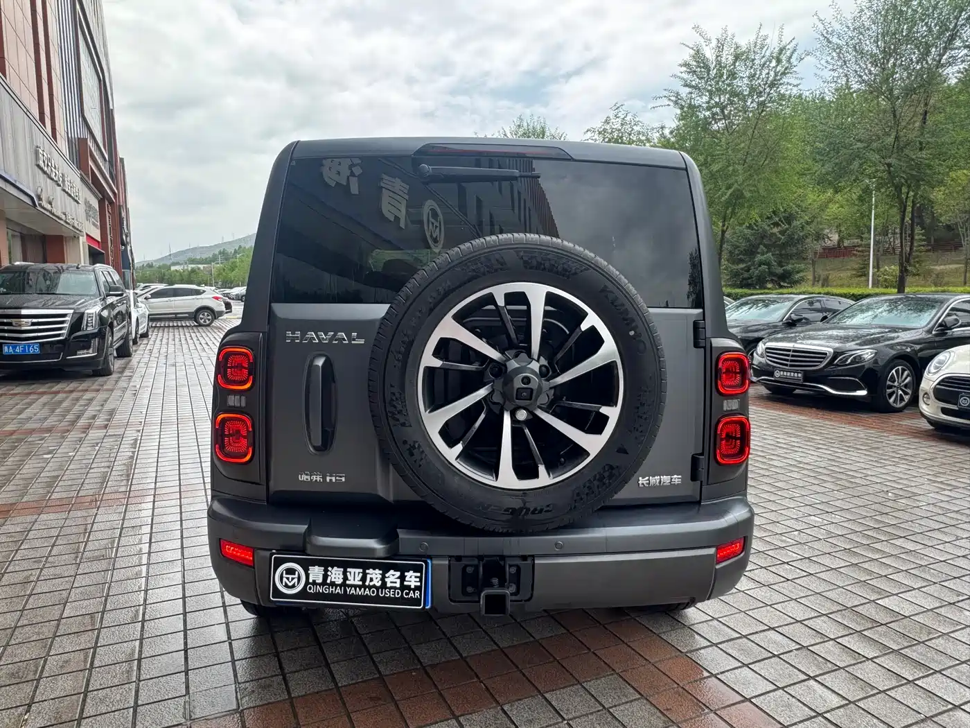 HAVAL H9