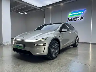 Tesla Model Y L
