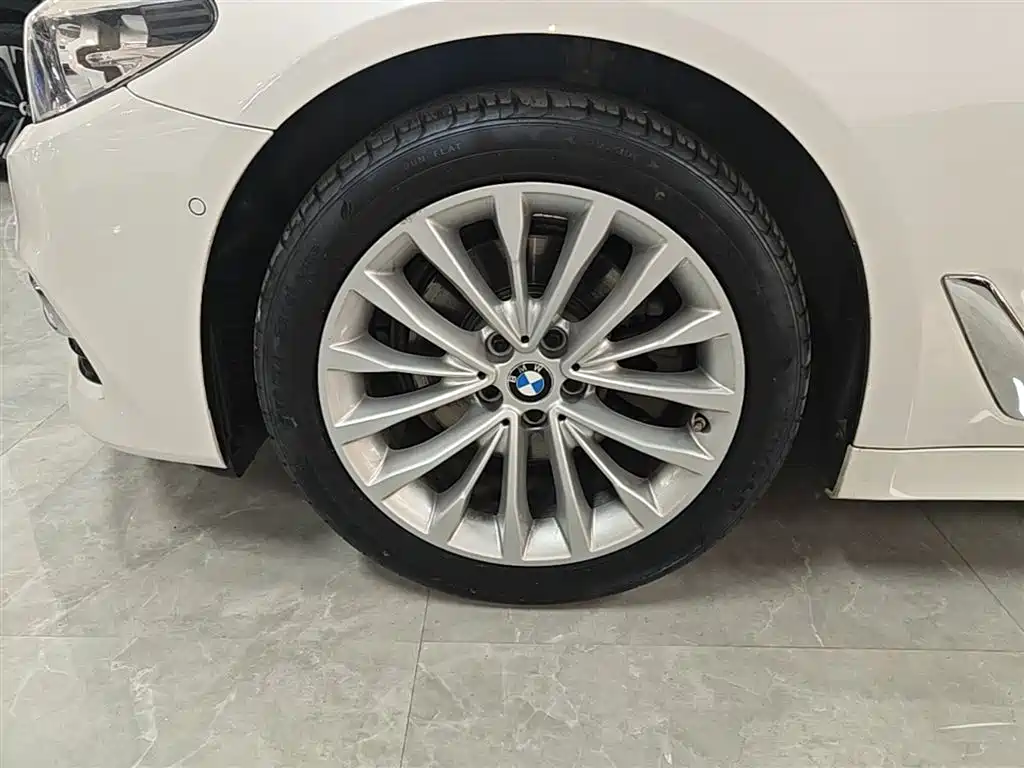 BMW 5 Series 2020 525Li Luxury Package фото 23