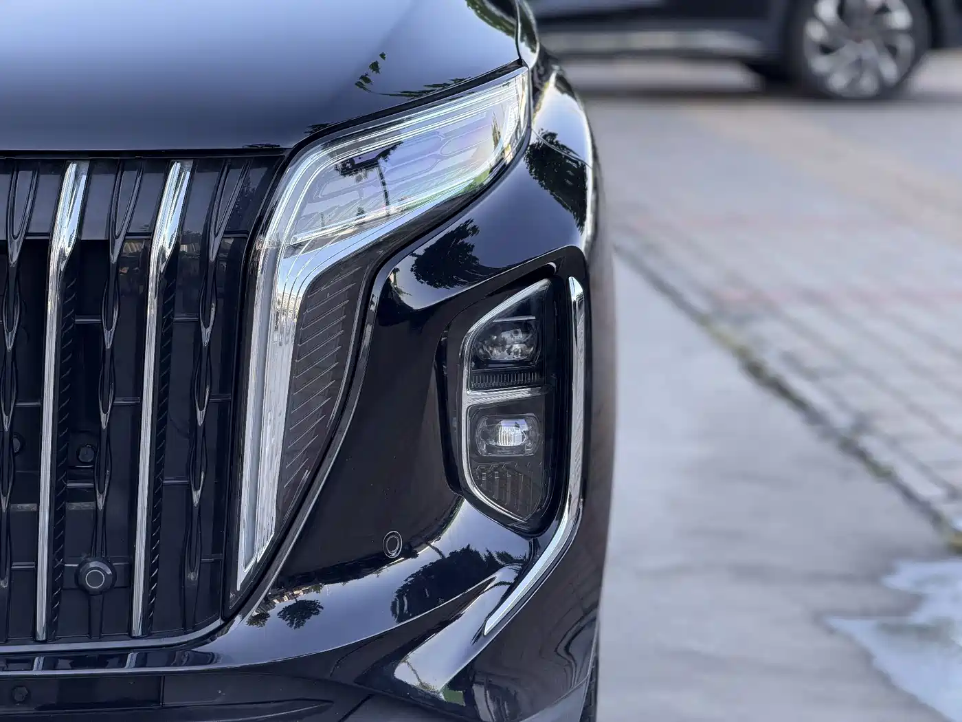 Фото 3 - Hongqi HS7 PHEV