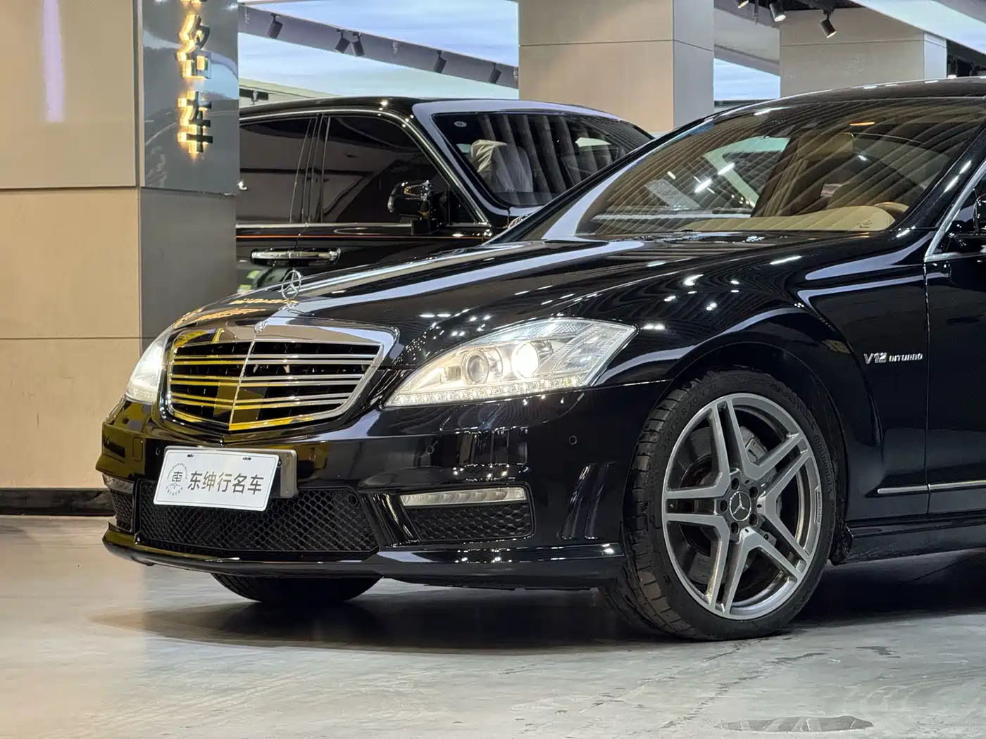 Mercedes-Benz S-Class AMG 2010 AMG S 65 фото 4