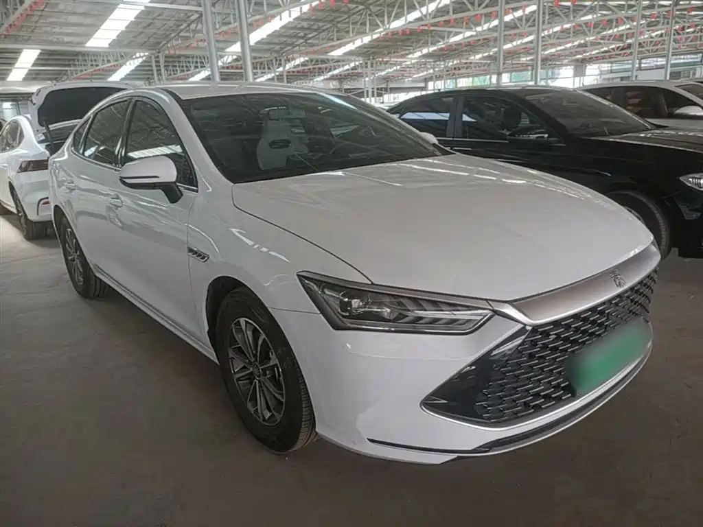 BYD Qin PLUS 2023 Champion Edition DM-i 55KM Leading фото 4