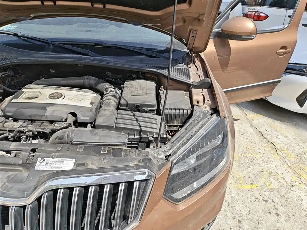 Škoda Yeti 2014 1.8TSI DSG Polar Edition фото 22