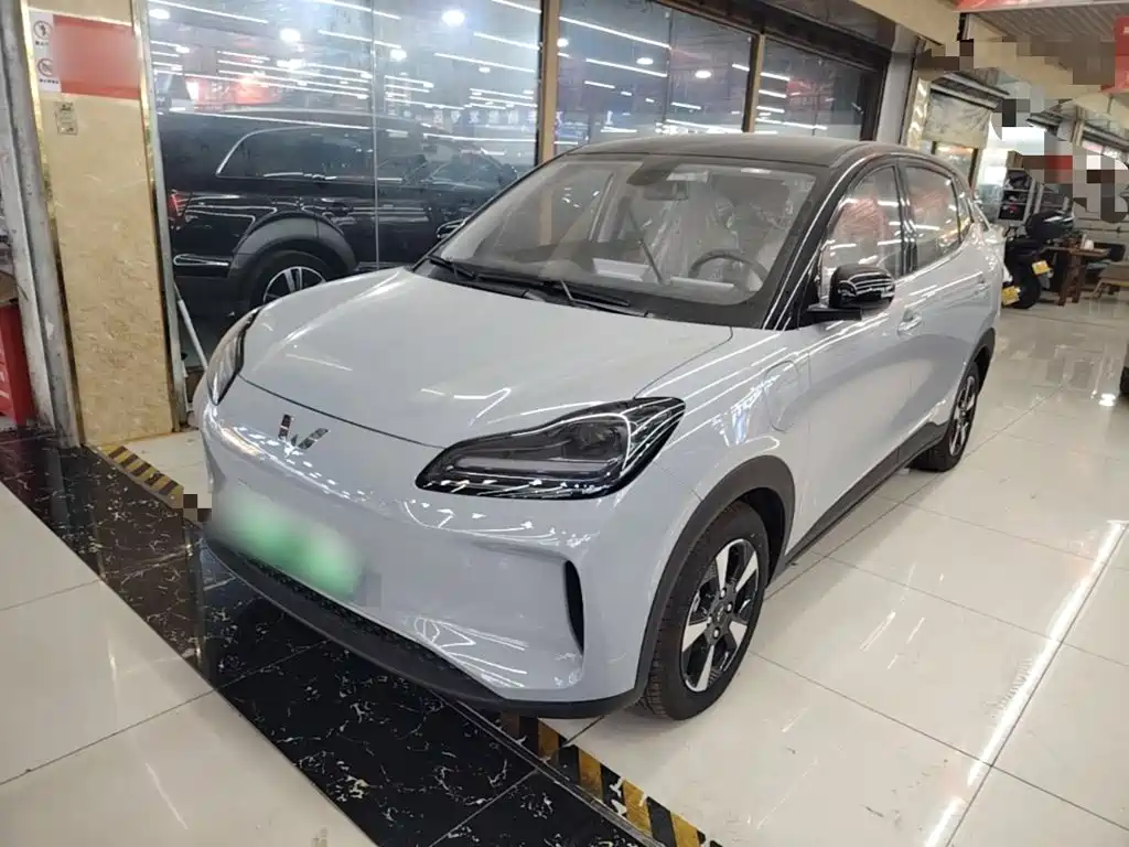  Wuling Motors Wuling Binguo PLUS 2024 510km Range 5-seater