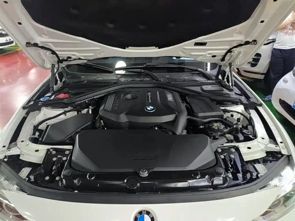 BMW 3 Series 2019 320Li M Sport Package фото 20
