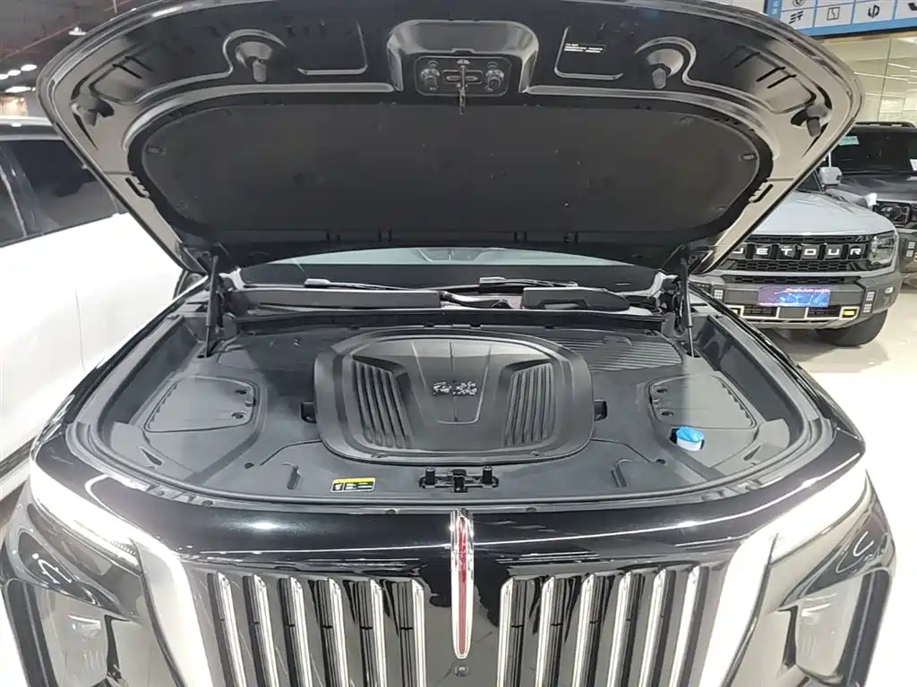 Hongqi E-HS9 2022 660km Qi Chang Edition (6-seater) фото 20