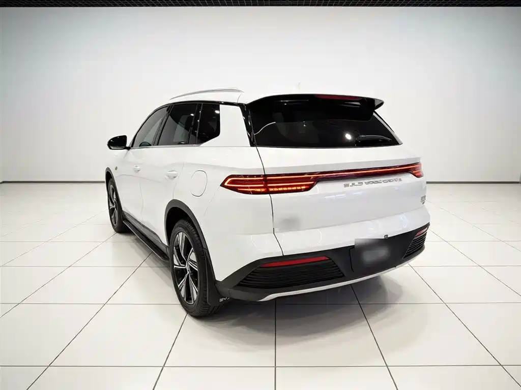 BYD Song Pro New Energy 2023 Champion Edition DM-i 110KM Excellence фото 5