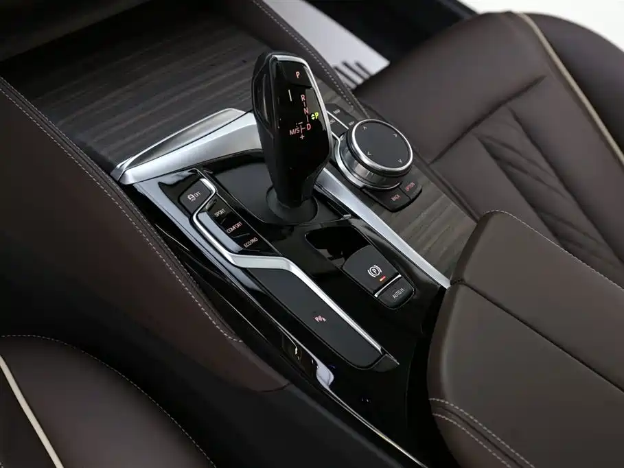 BMW 5 Series 2020 530Li Leading Luxury Package фото 13