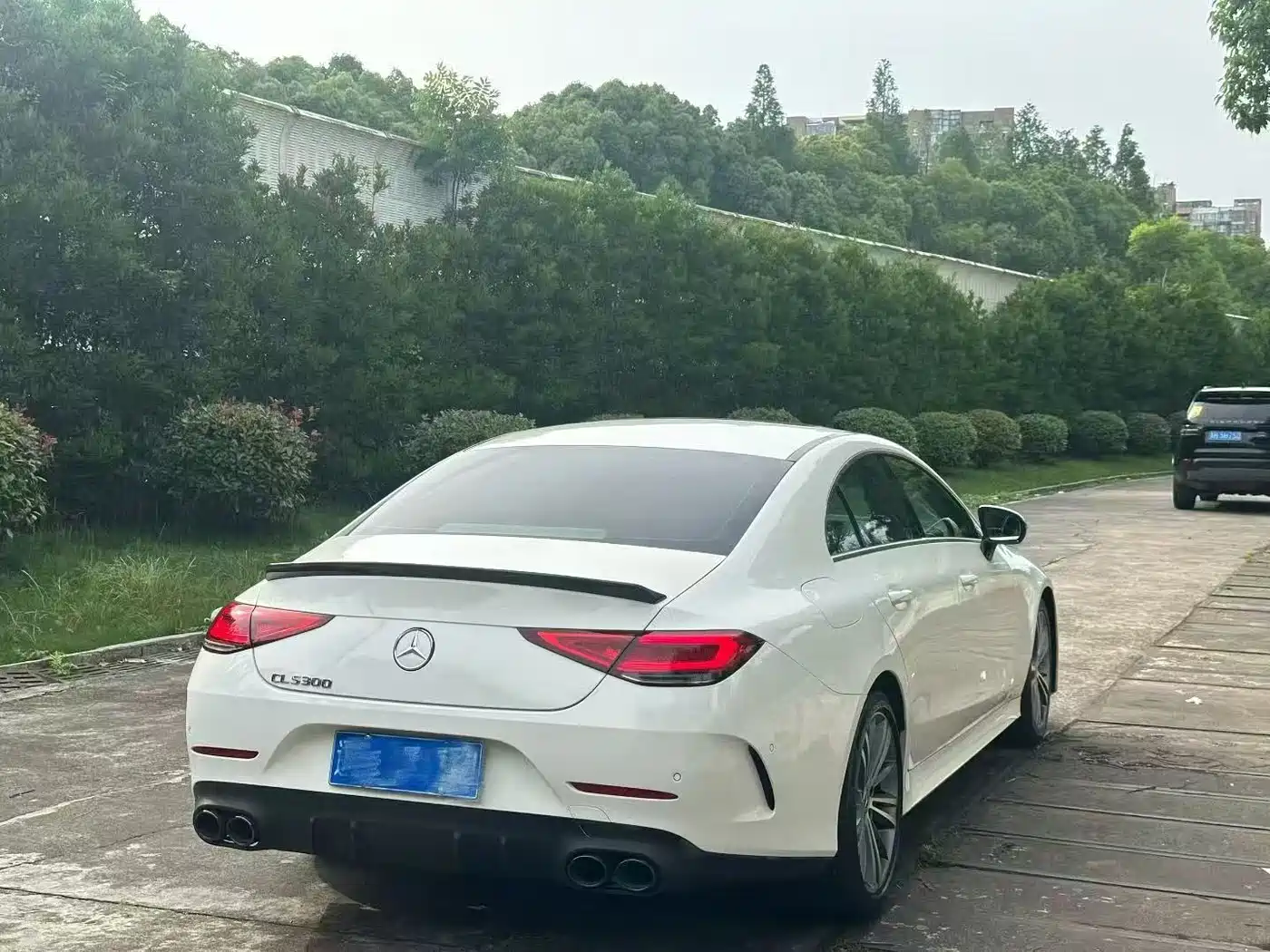 Mercedes-Benz CLS 2021 CLS 300 Luxury фото 8