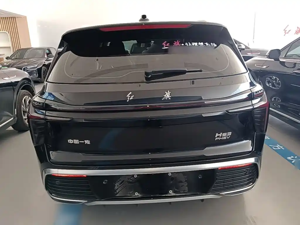 Hongqi HS3 PHEV 2025 2024 PHEV 115km Power Edition