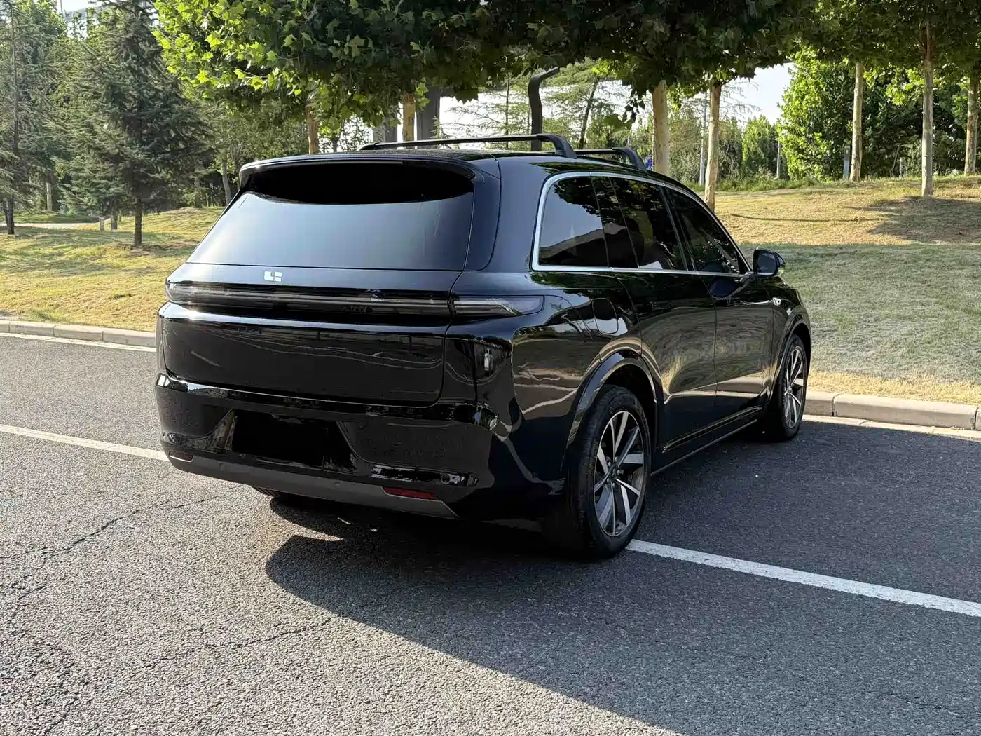 Li Auto Li L8 2023 2023 Pro