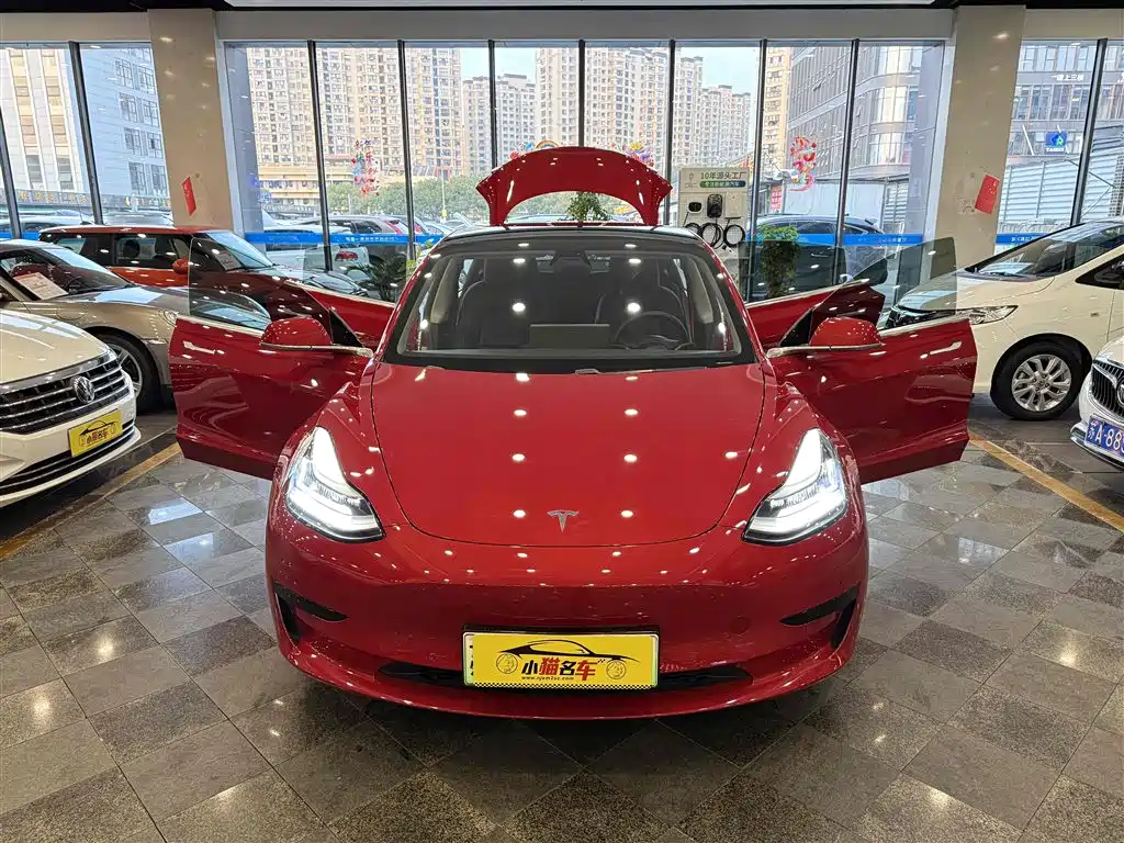 TESLA MODEL 3