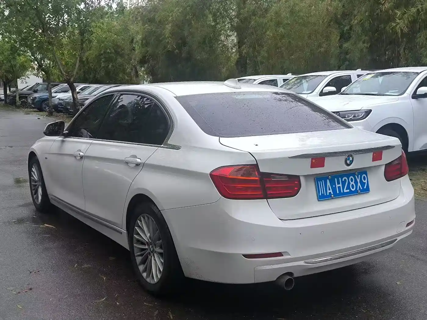 BMW 3 Series 2014 320Li Luxury Design Package фото 4