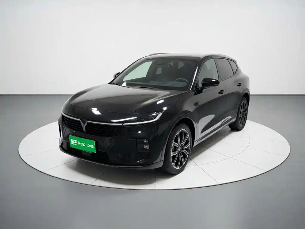 Voyah Auto Voyah Zhiyin 2024 — пригон из Китая