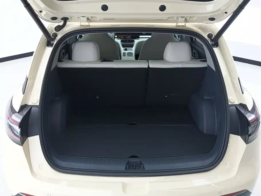Geely Galaxy Starry Wish 2025 2025 310km Dream Edition