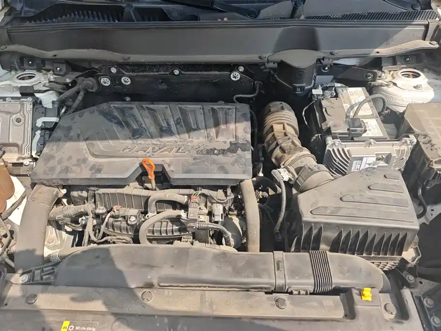 Haval H6 2021 Model 3rd Generation 1.5T Auto 2WD Supreme+ фото 10