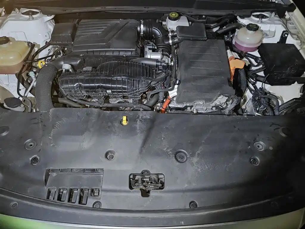BYD Qin PLUS 2021 DM-i 120KM Premium фото 11