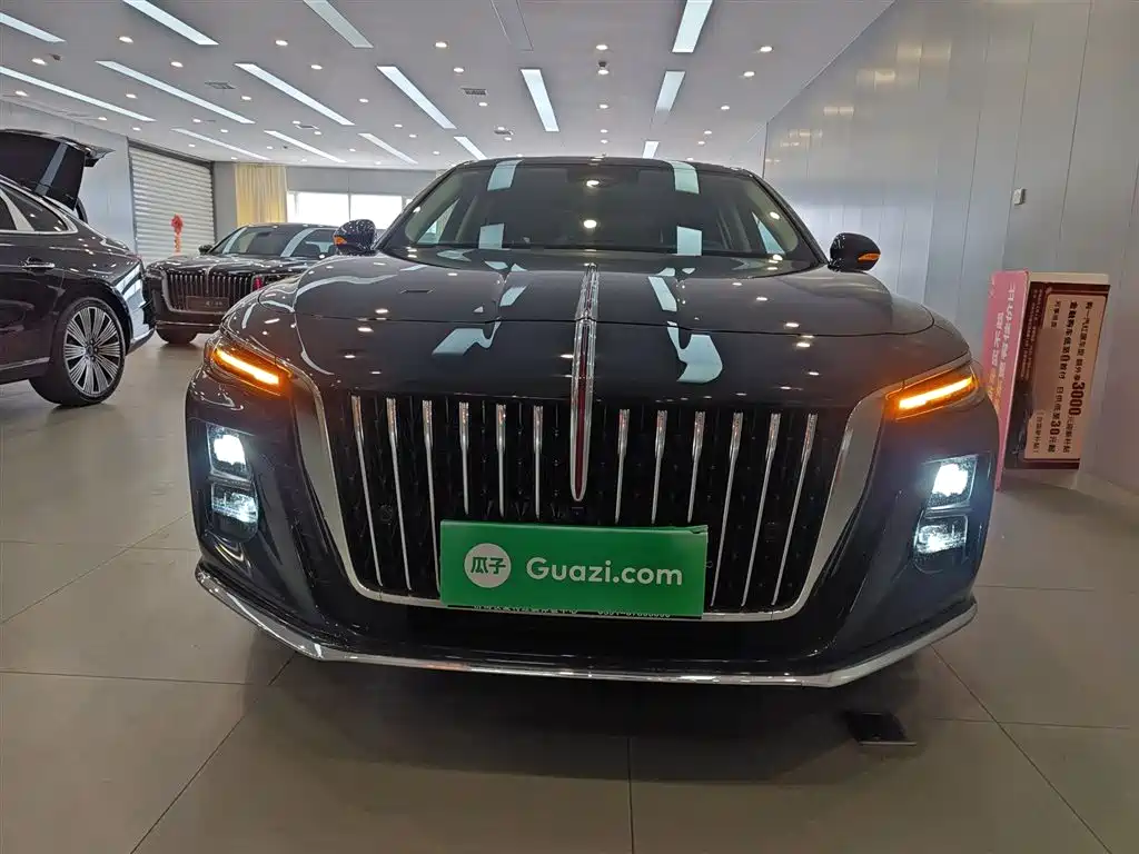Hongqi H5 2023 2.0T Auto Smart Connect Flagship фото 3