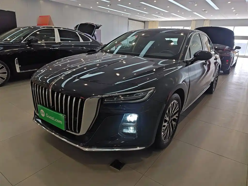 Hongqi H5 2023 2.0T Auto Smart Connect Flagship фото 2