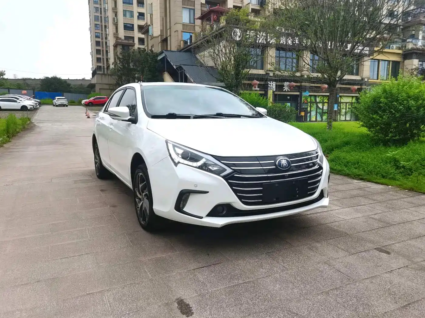 BYD Qin New Energy 2018 2018 Qin EV450 Smart Connected Premium Edition